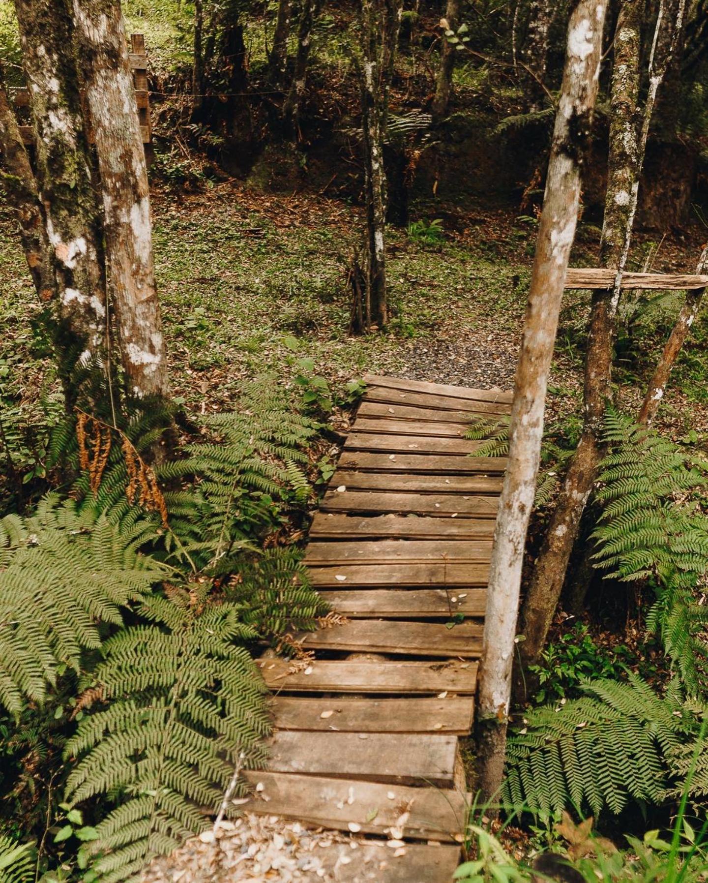 Floresta Secreta- Pousada Cachoeira Da Neve Urubici Exteriér fotografie